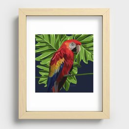Parrot  Recessed Framed Print