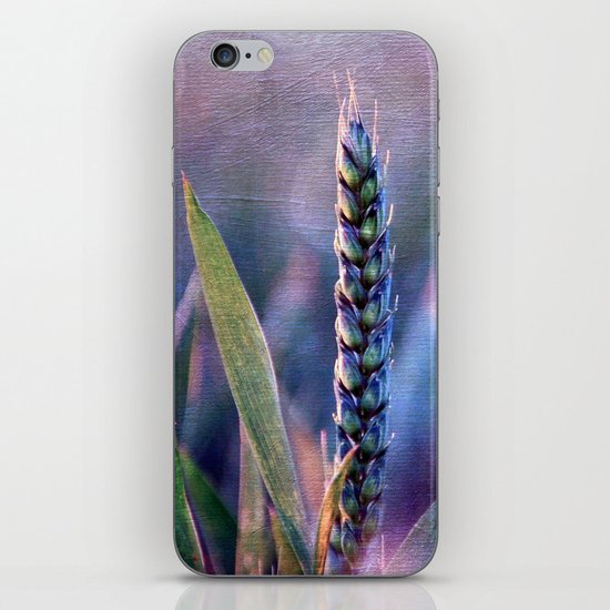 Summer evening iPhone & iPod Skin