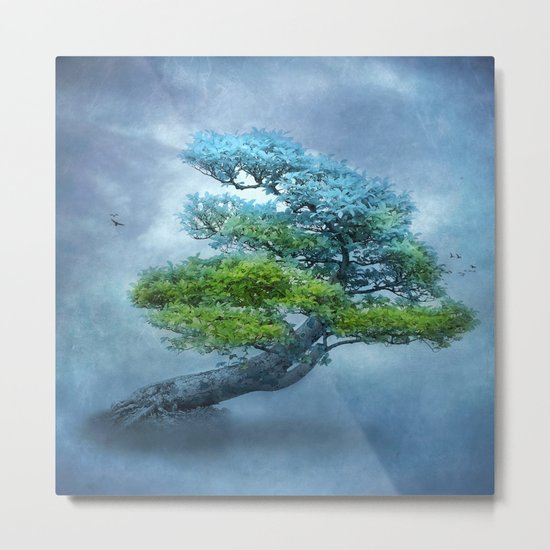 TRANSFORMATION Metal Print