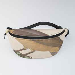 Vintage Print - New Collection of Colored Bird Plates (1838) - Red-billed Oxpecker Fanny Pack