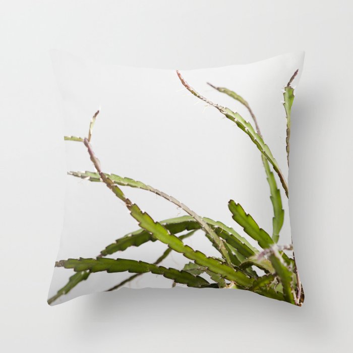 Lepismium  |  The Houseplant Collection Throw Pillow