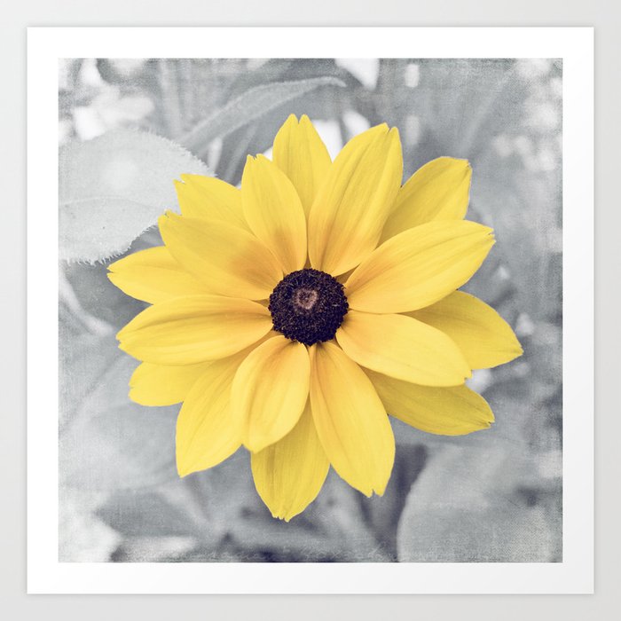 Yellow Grey Flower Photography, Yellow Gray Nature Floral Photography Art Print