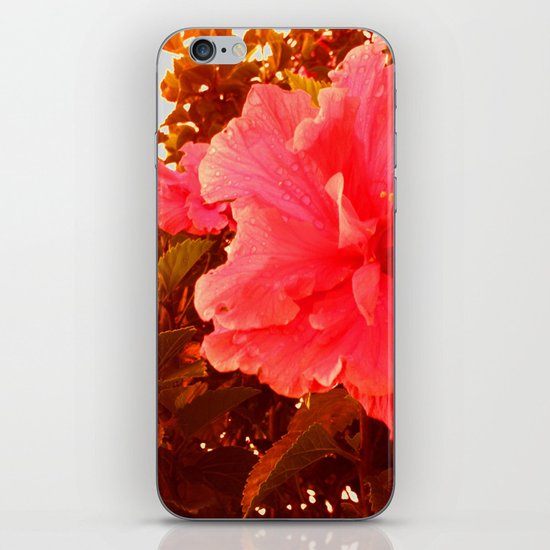 High Biss-Quick iPhone & iPod Skin