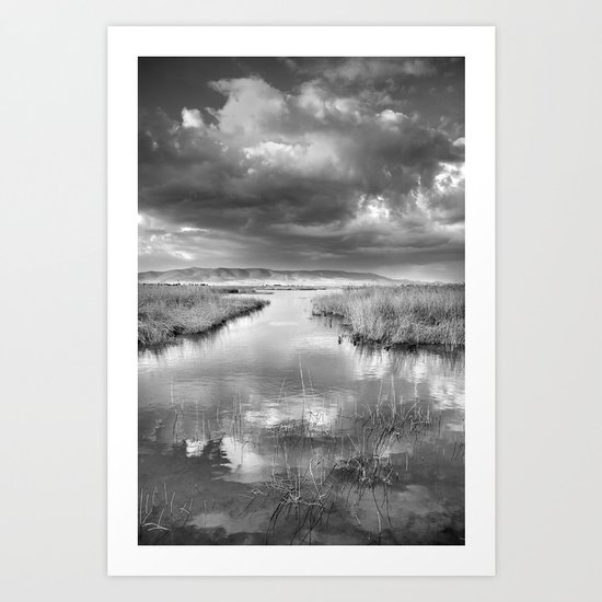 Before the big storm Art Print