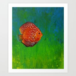 Discus Fish Art Print