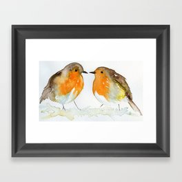 Robin Love Birds Framed Art Print