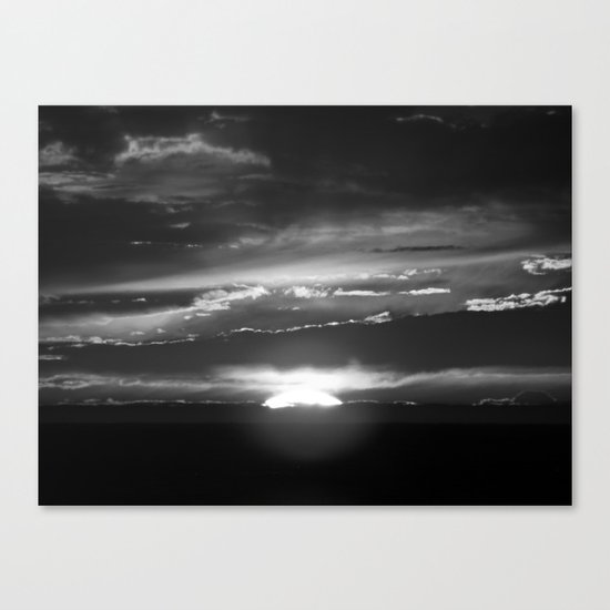 Black and White Delight Canvas Print