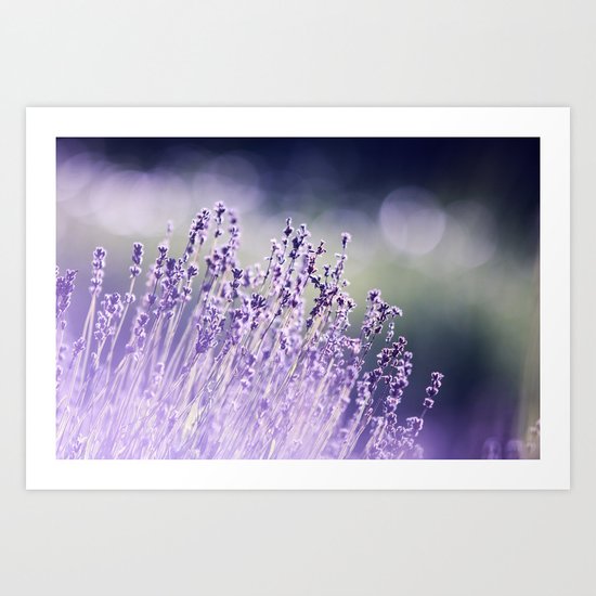 Spring Purple I Art Print