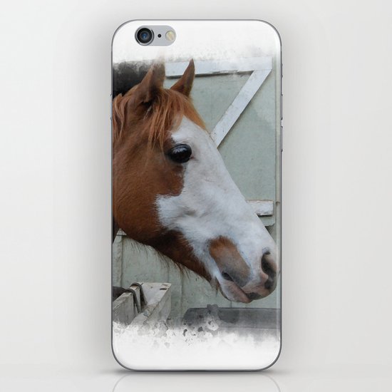 Arthur iPhone & iPod Skin