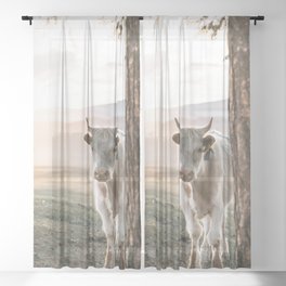 Scottish Highland Cow | Scottish Cattle | Cute Cow | Scottish Cow | Cute Cattle 02 Sheer Curtain