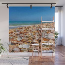 Amazing view of seashells. Wall Mural