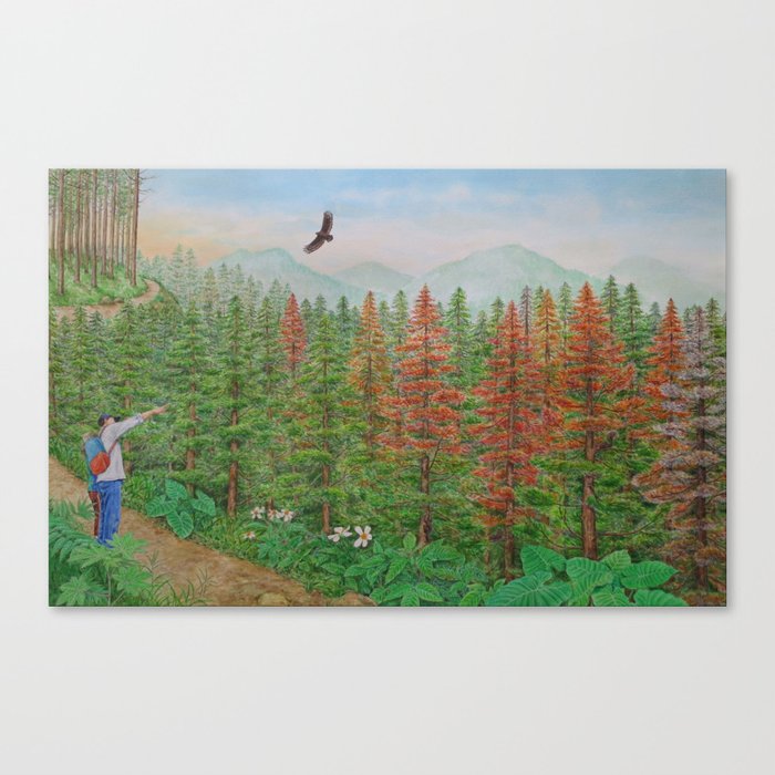 A Day of Forest(8). (coniferous forest) Canvas Print