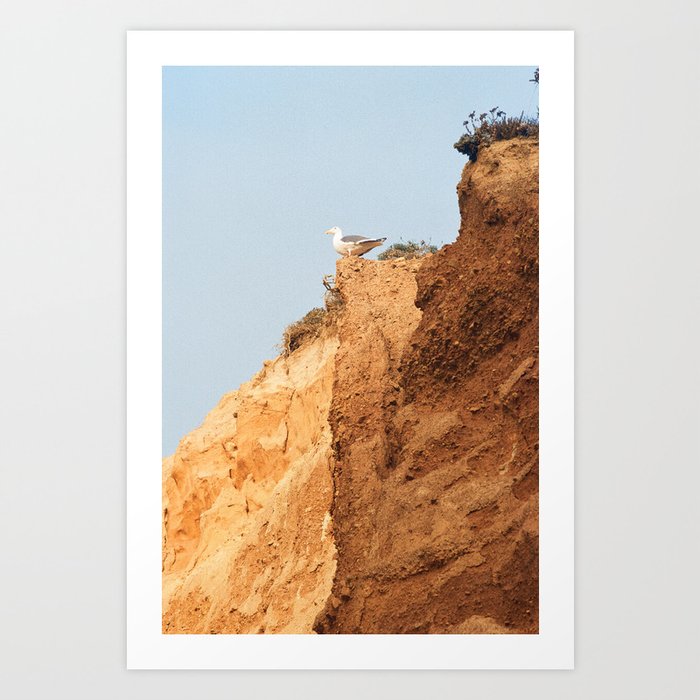 Big Sur Seagull | California Film Photography Art Print