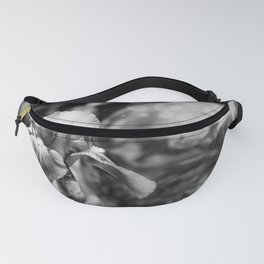 Iris and gazing ball Fanny Pack