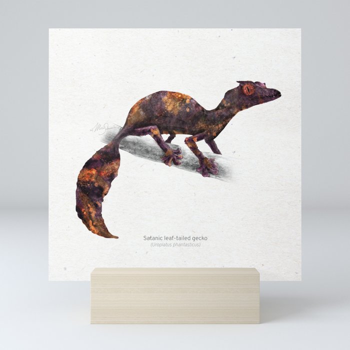 Satanic leaf-tailed gecko scientific illustration art print Mini Art Print