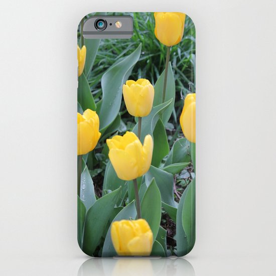 Appledorn Tulips iPhone & iPod Case