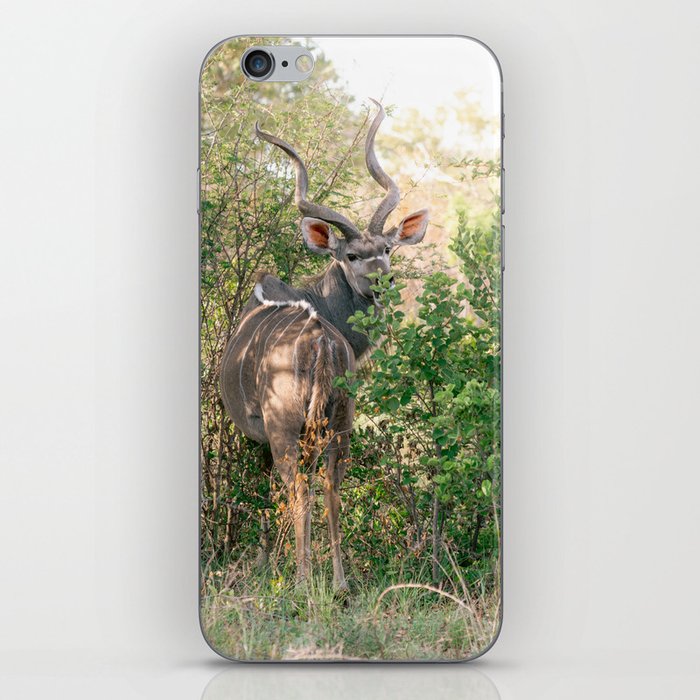 Landscape photo of kudu | Travel Photography | South Africa iPhone Skin