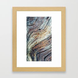 The Colours of the Trees Framed Art Print