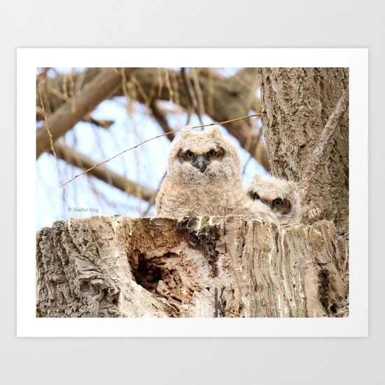 Sibling Espionage Art Print