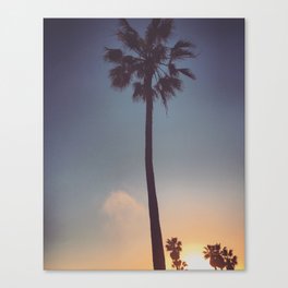 palm tree Canvas Print