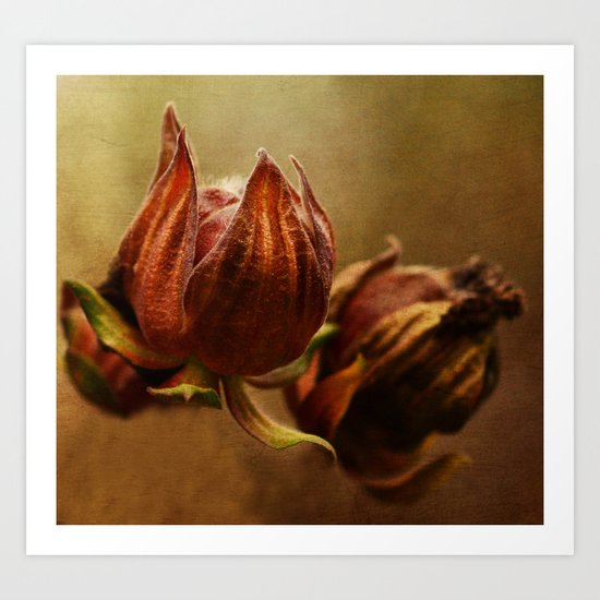 Autumn glow Art Print