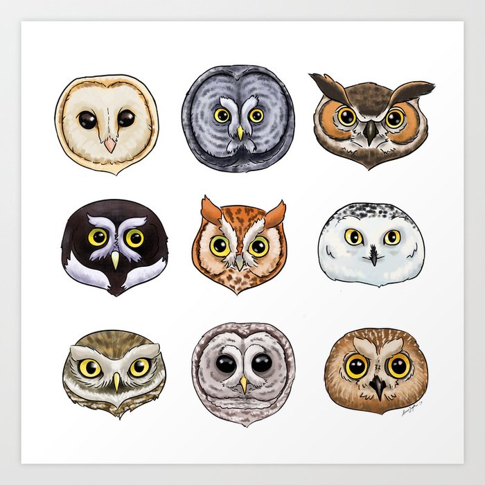 Owls Art Print