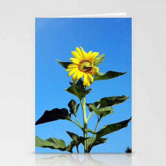 Sun Flower Stationery Cards
