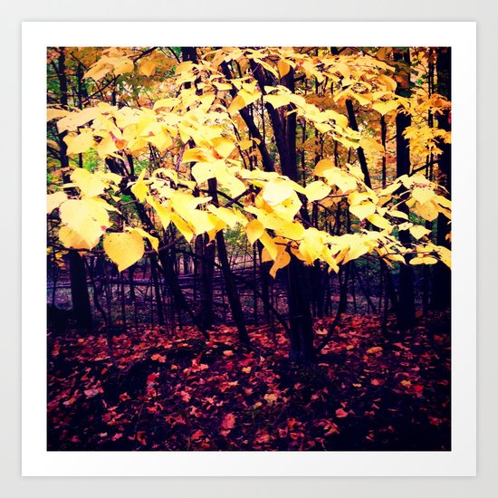 Under The Shade Of Yellow Art Print