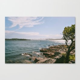 Coastal Walk Sydney Canvas Print