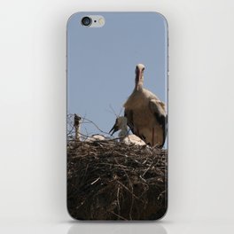 She Stork and Fledgling Baby Storks Photograph iPhone Skin