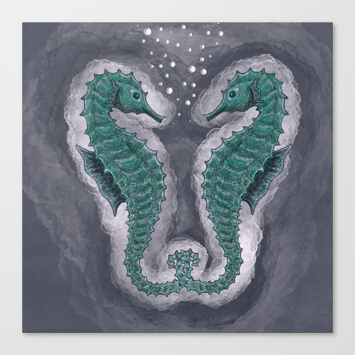 Seahorse gaze Canvas Print