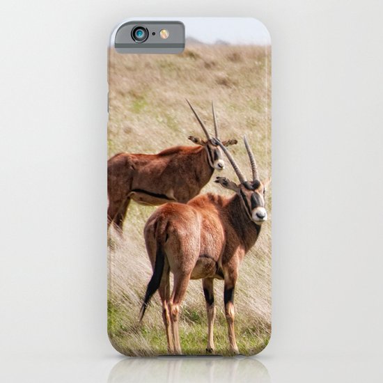 Wide open spaces iPhone & iPod Case