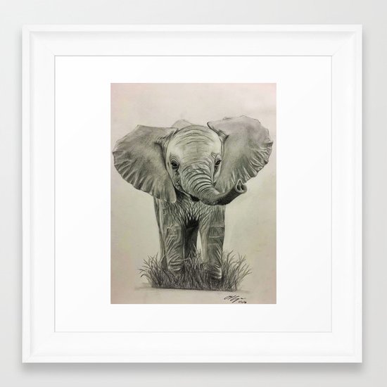 Baby Elephant Pencil Drawing Framed Art Print By Abelcam Society6