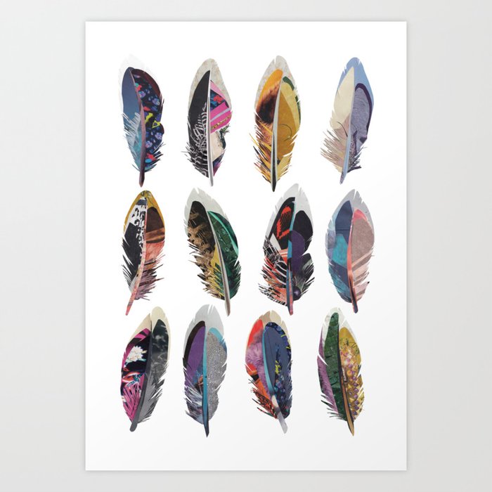 Coloured Feathers Art Print