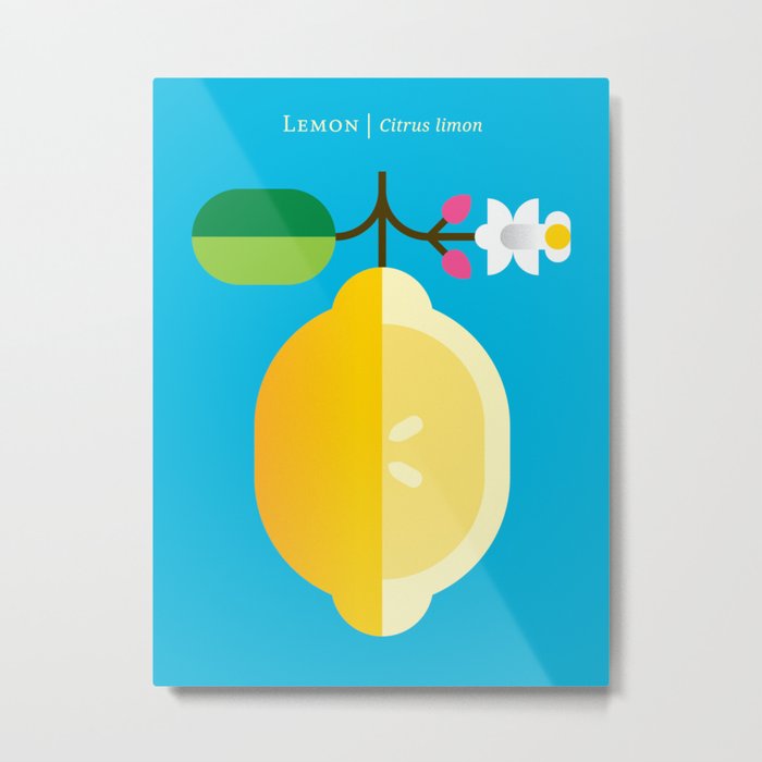 Fruit: Lemon Metal Print