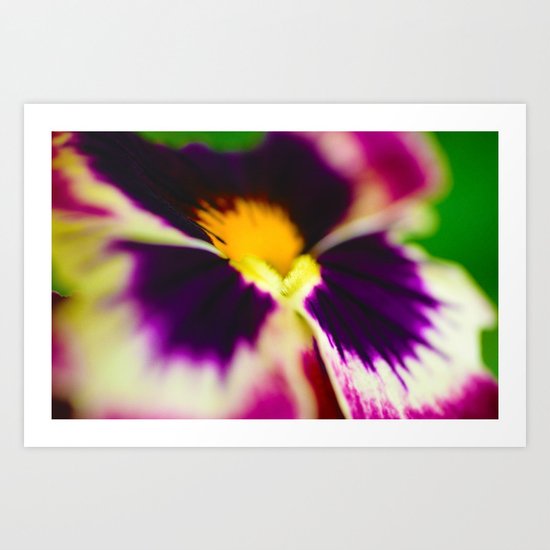 Palemo velvertine Art Print
