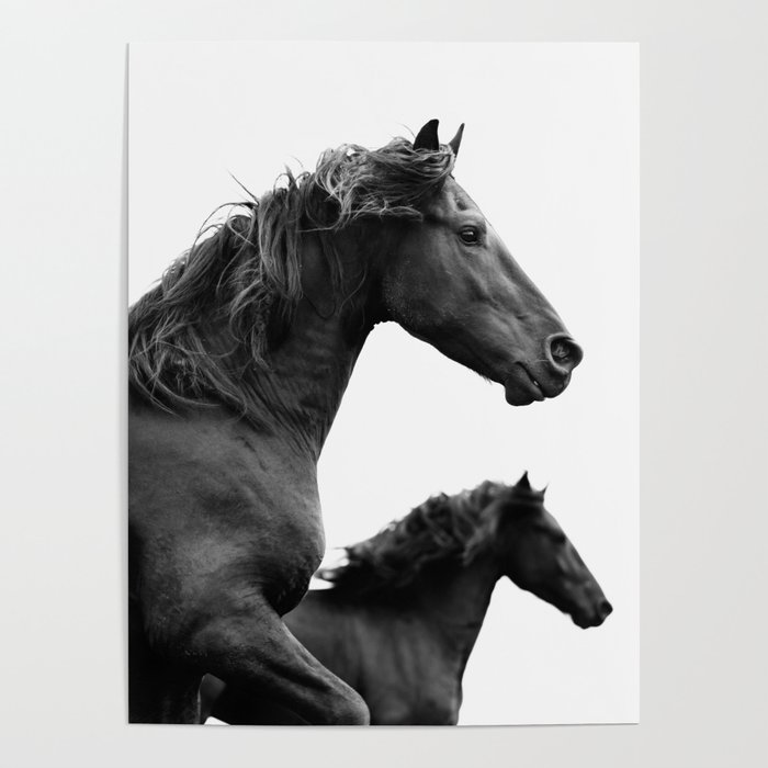 Wild at Heart - Black and White Photography Poster