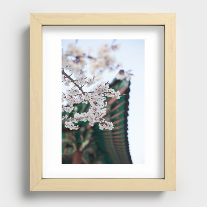 Blossoms Near the Bell, Seoul Korea Recessed Framed Print