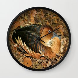 Fulvous Whistling Duck Wall Clock | Animal, Landscape, Nature, Photo 