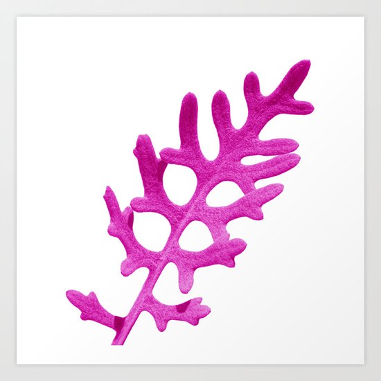 pink velvet leaf II Art Print