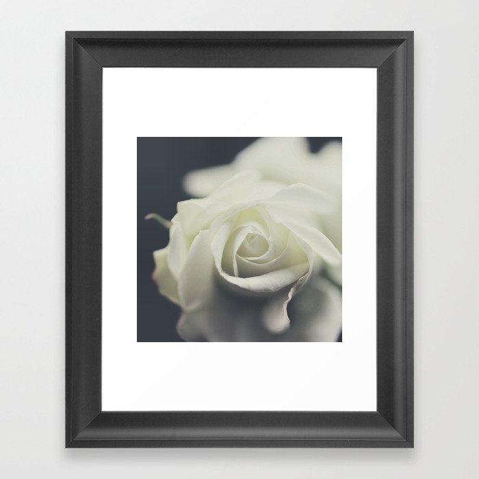 White Rose - Elegant Soft White Flower photography by Ingrid Beddoes Framed Art Print