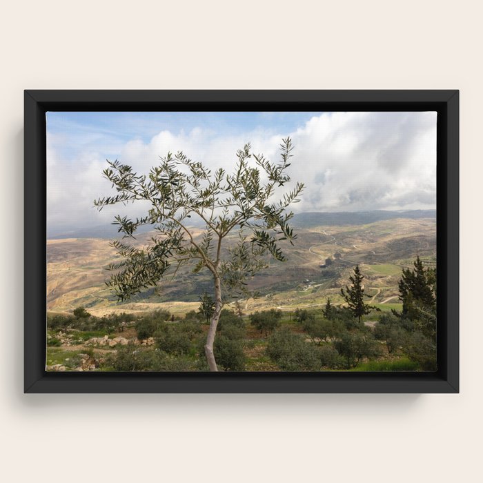 Framed Canvas