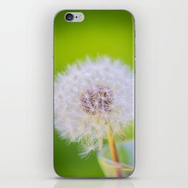 Dandelion - macro iPhone Skin