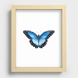 Blue Morpho Butterfly, the Menelaus blue morpho (Morpho menelaus) Butterfly, Blue Butterfly Recessed Framed Print
