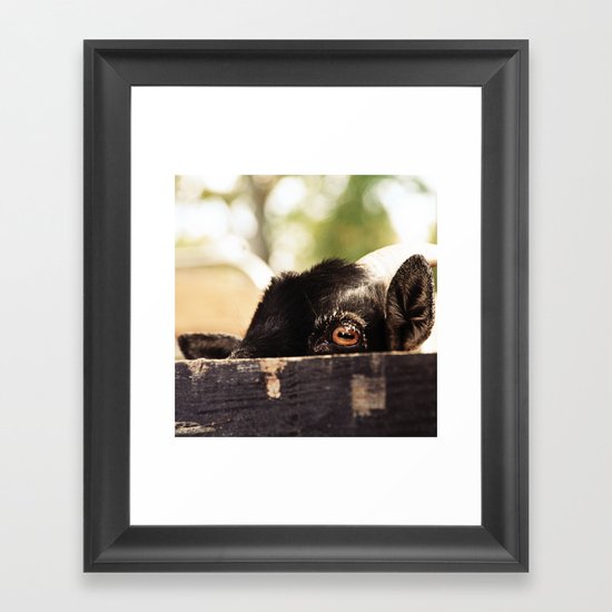 Peek-a-Boo Framed Art Print