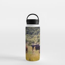 Vintage cottagecore cow pasture in the mountains Water Bottle