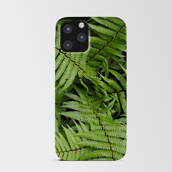 Wood Fern in a Pacific Northwest Washington Forest iPhone Card Case