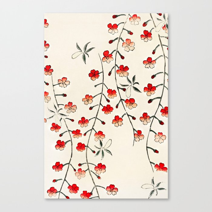 Red and White Japanese Cherry Blossom Canvas Print