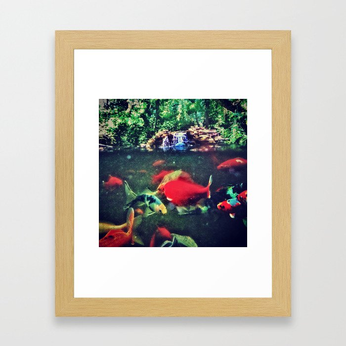 Fish Pond Framed Art Print