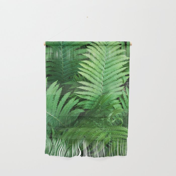 Fern Photography Tropical Leaves Nature Jungle Rainforest Tropical Minimalism Wall Hanging By Wildhood